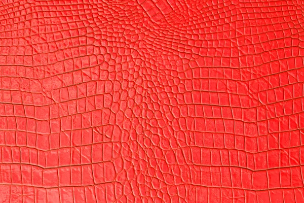 Sfondo e texture in pelle rossa — Foto Stock