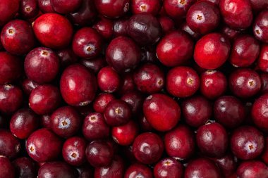 Olgun kızılcık arka planı. Taze organik yabanmersini dokuma makrosu. Antioksidan ve vitamin sağlıklı yeme kavramları. Şükran Günü ve Noel yemekleri için. Tam kare. Üst görünüm.