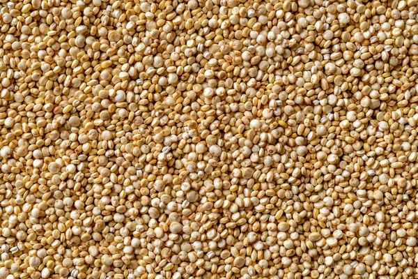 Raw Quinoa Grains Macro Background Texture White Quinoa Seeds Close — Stock Photo, Image