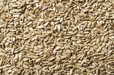 Kabuklu ayçekirdeği makro arka planı. Kabuksuz Helianthus çekirdeklerinin dokusu. Glütensiz sağlıklı yiyecekler için organik ayçekirdeği. Bitkisel yağ üretimi için ham madde. Üst görünüm.