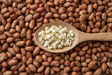 Yerfıstığı tohumlarının üzerinde tahta bir kaşıkta ezilmiş fıstık. Beslenme için çiğ organik maymun fındığı. Pişirmek ve sağlıklı vejetaryen atıştırmalıkları için soyulmuş Arachis hipogaea çekirdekleri. Üst görünüm.