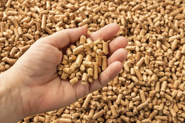 Wood Pellets Woman Hand Palm Person Hand Holds Handful Wooden — Stockfoto