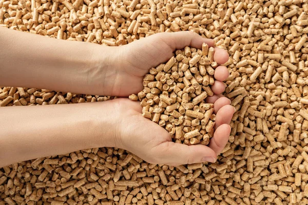 Woman hands hold wooden pellets. Handful of wood pellet fuel in a person hands. Organic biofuel made from compacted sawdust. Alternative energy, ecological heating, bio fuel concept. Top view.