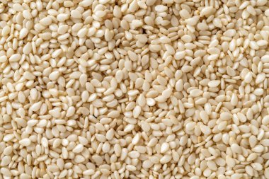 Raw sesame seeds macro background. Texture of organic benne grains closeup. White til for healthy food,  strengthening immunity diet and calcium source. Sesamum indicum for oil production. Top view.
