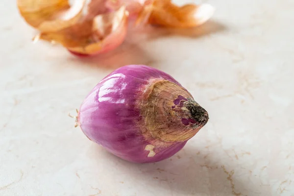 Rotting of whole red shallot bulb macro. Black mold fungus on peeled eschalot. Closeup of spring onion rots. Rotten vegetables detail. Biodegradable food waste. Spoiled food concept. Front view