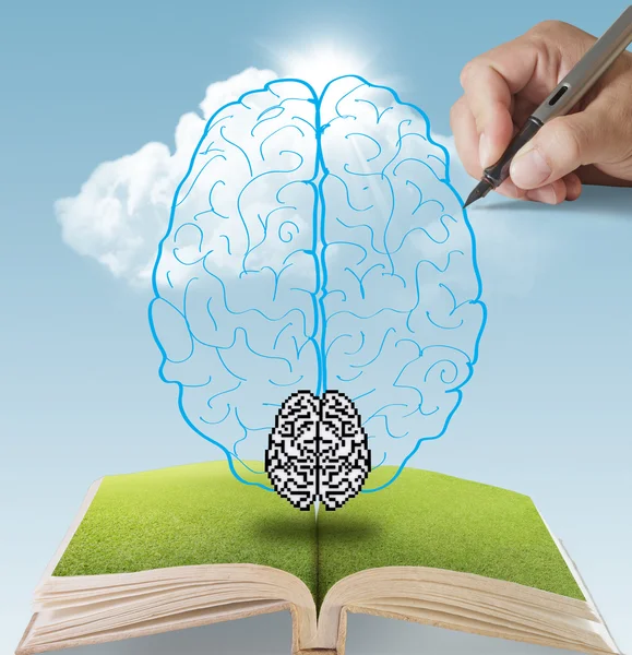 Hand drawing brain — Stock Photo, Image