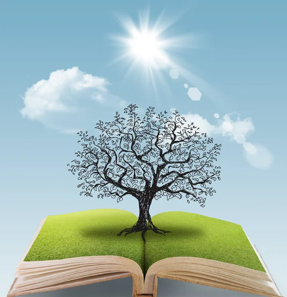 Open book of the big tree — Stock Photo, Image