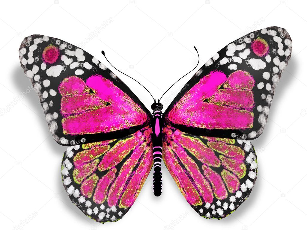 Pink butterfly