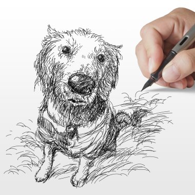 hand drawn Golden retriever dog clipart