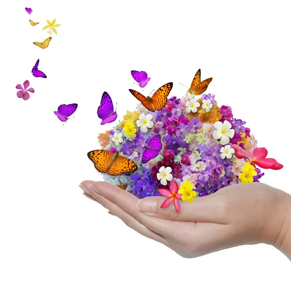 Hand hält Blume verschüttet viele Blumen und Schmetterling — Stockfoto