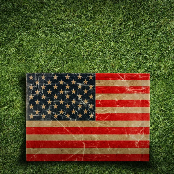 Papierfahne der USA auf Gras — Stockfoto