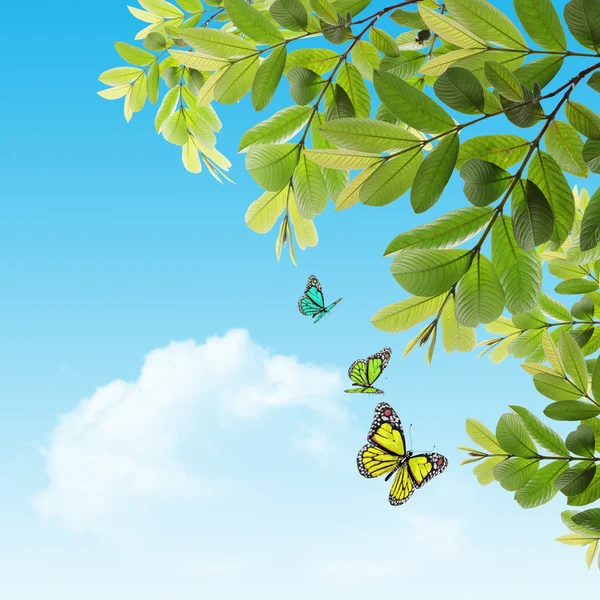 Butterfly on the background of the young spring leaves — Stock Photo, Image