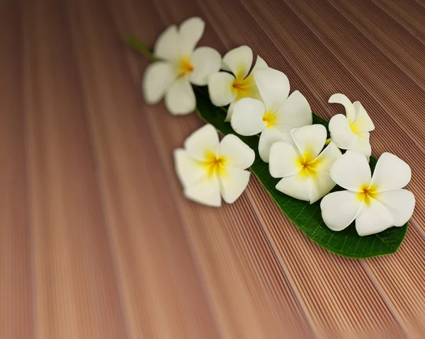 Bouquet of plumeria flowers with leaf on plank teak strip textur — Stock Photo, Image