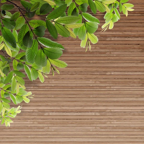 Gamla grunge trä textur med blad — Stockfoto