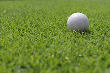 Golf topu
