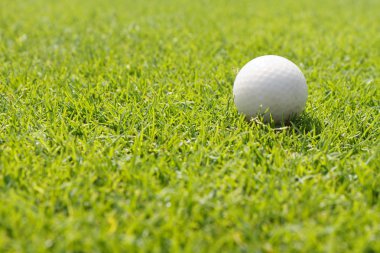 Yeşil üzerine golf topu