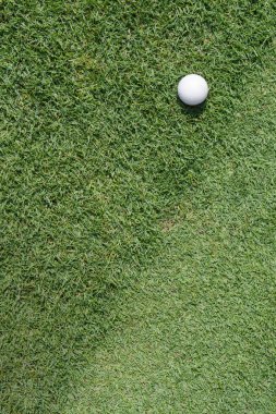 Yeşil üzerine golf topu