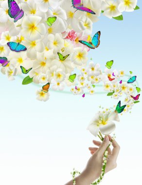 çiçekler üzerinde Kelebek