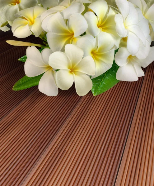 Çiçekler üzerinde Kelebek — Stok fotoğraf