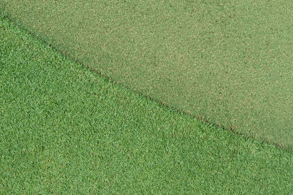 Bola de golfe em verde — Fotografia de Stock