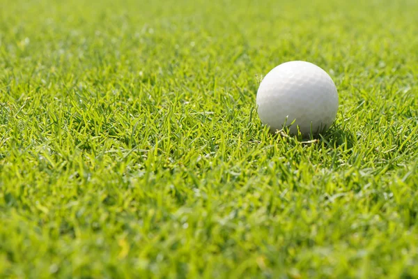 Bola de golfe em verde — Fotografia de Stock