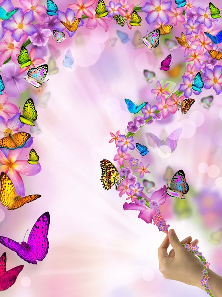 Butterfly on flowers — Stock Photo, Image