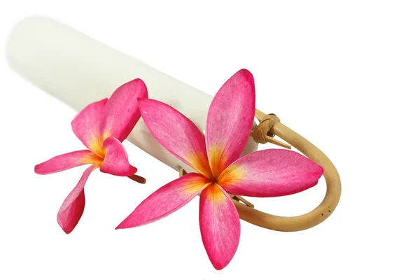 Gros plan fleur frangipani — Photo