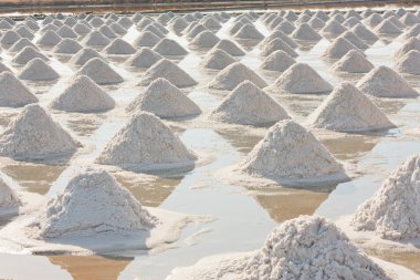 Çiftçi ile tuz doku