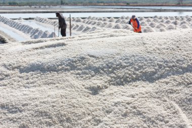 Çiftçi ile tuz doku