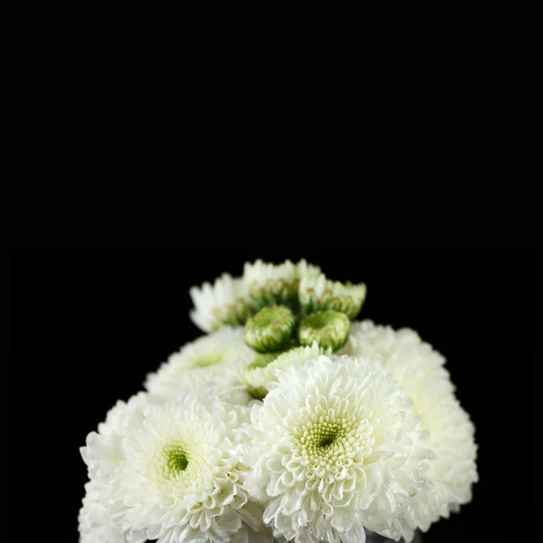Borboleta em flores — Fotografia de Stock