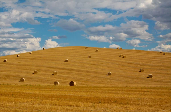 In the tuscan landscape — Stock Photo, Image