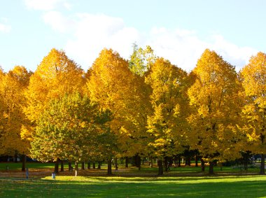 sonbahar Parkı