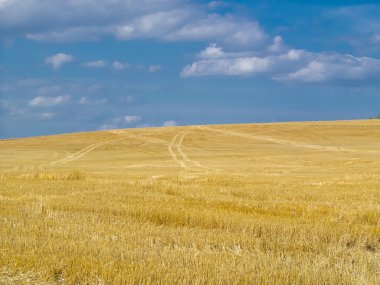 Mesaj bilgileribiçilmiş alan