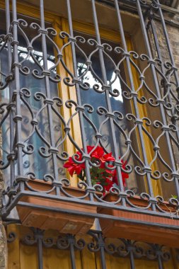 demir kafes ile eski pencere