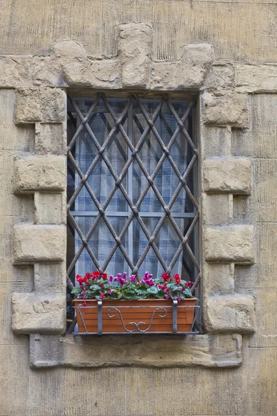 Zabytkowe okno z kratką żelaza — Zdjęcie stockowe