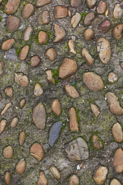 Cobblestones moss ve çim ile — Stok fotoğraf