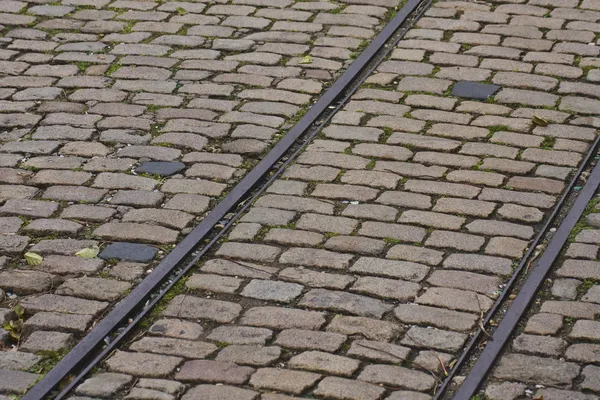 Parke taşı üzerinde eski tramvay rayları — Stok fotoğraf