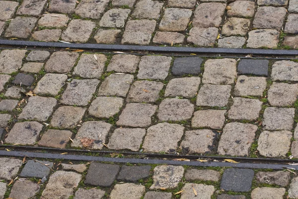 Parke taşı üzerinde eski tramvay rayları — Stok fotoğraf