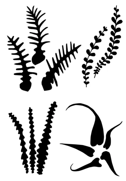 Fern bladeren — Stockvector