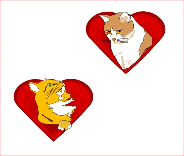 Valentine hearts with cats — Stock Vector