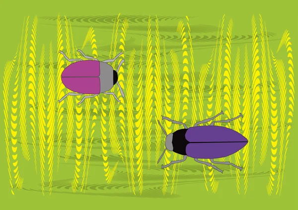 Dois insetos de cores diferentes no trigo — Vetor de Stock