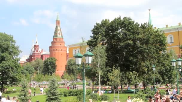 Corner Arsenalnaya Tower of Kremlin — Stock Video