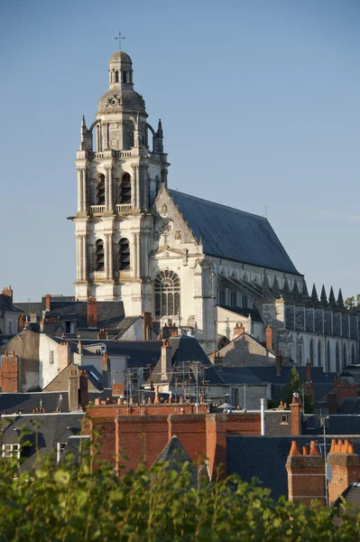 Katedralen i saint louis — Stockfoto