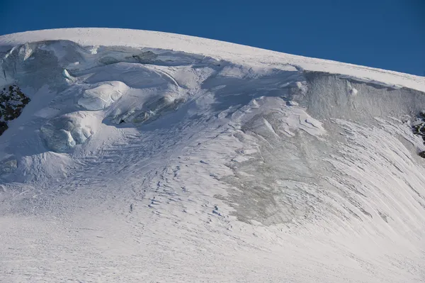 高原上的冰罗莎 — 图库照片