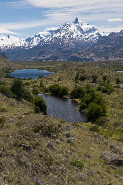 Lakes and Andes from Estancia Cristina — Stock Photo, Image