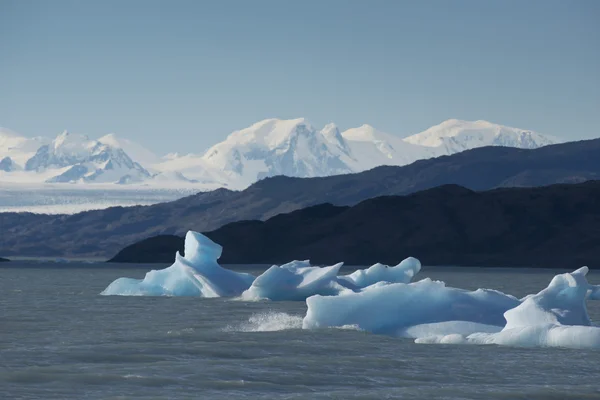 Iceberg flotando en el Lago Argentino —  Fotos de Stock