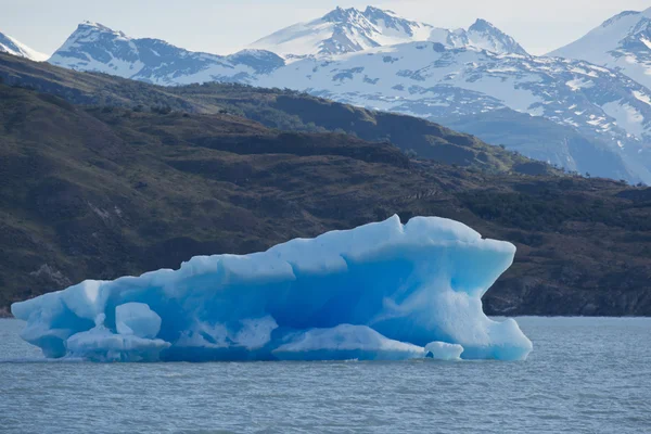 Iceberg floating on the Lake Argentino — Stock Photo, Image