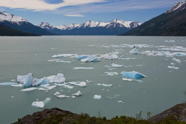 Ledovce plující na jezero argentino — Stock fotografie
