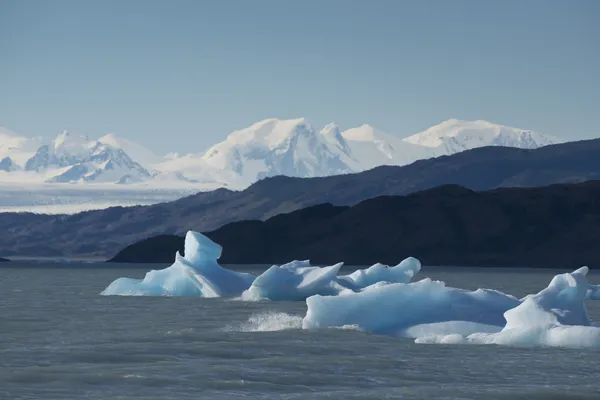 Iceberg floating on the Lake Argentino Stock Photo