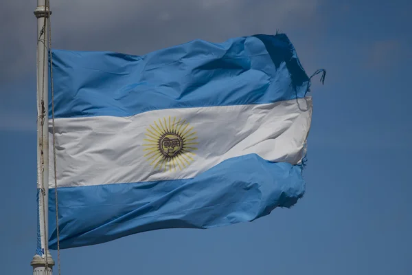 Bandera Argentina ondeando — Foto de Stock